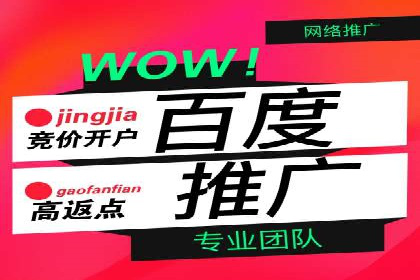 案例研究：百度推广托管助力电商品牌快速崛起