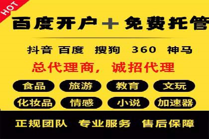 某企业通过SEO和SEM双管齐下实现业绩飞跃的案例